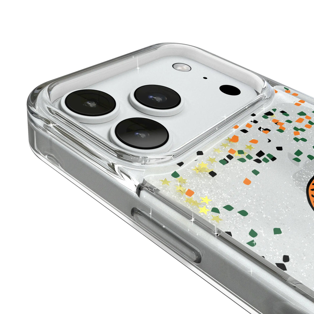 Florida A&M University Rattlers Confetti iPhone Glitter Phone Case for Apple iPhone - Detail#Device_iPhone 18 Pro