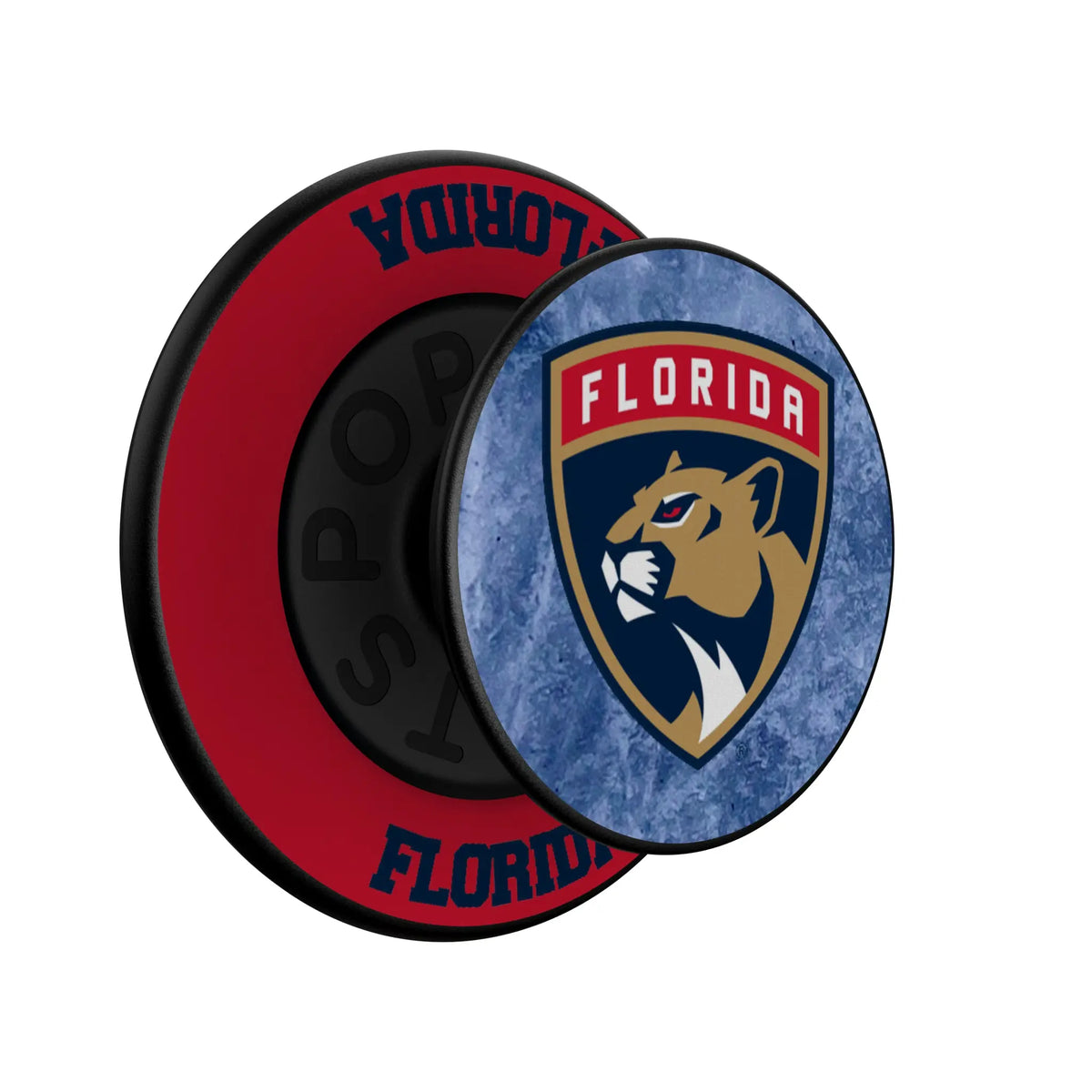 Florida Panthers Ice Wordmark Popsockets Round Magnetic - Isometric View