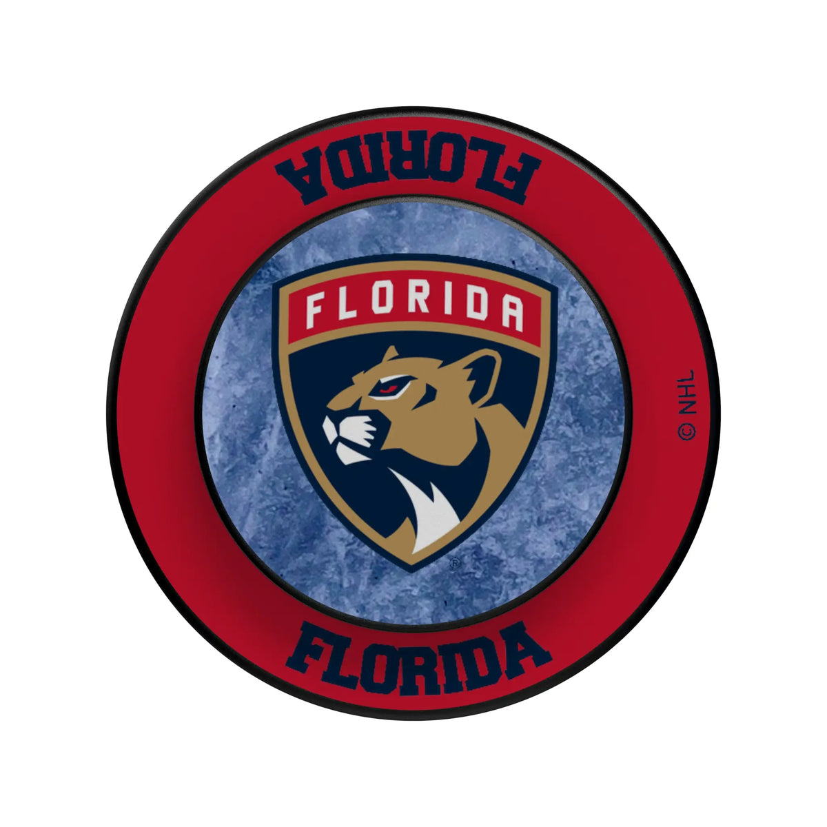 Florida Panthers Ice Wordmark Popsockets Round Magnetic