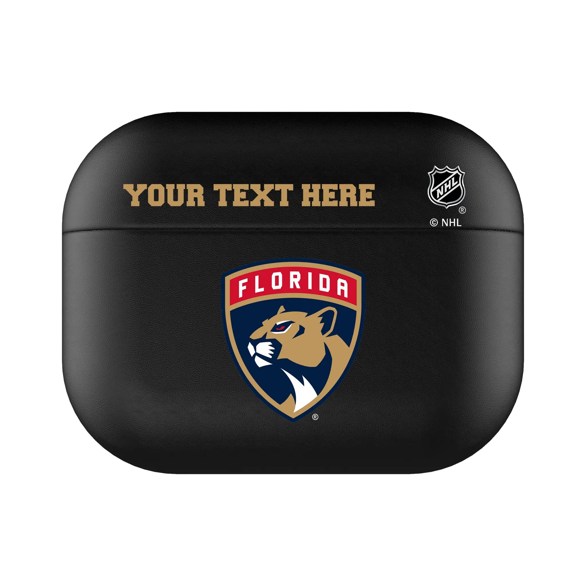 Florida Panthers Personalized Insignia AirPods AirPod Case Cover#Device_AirPods Pro 3