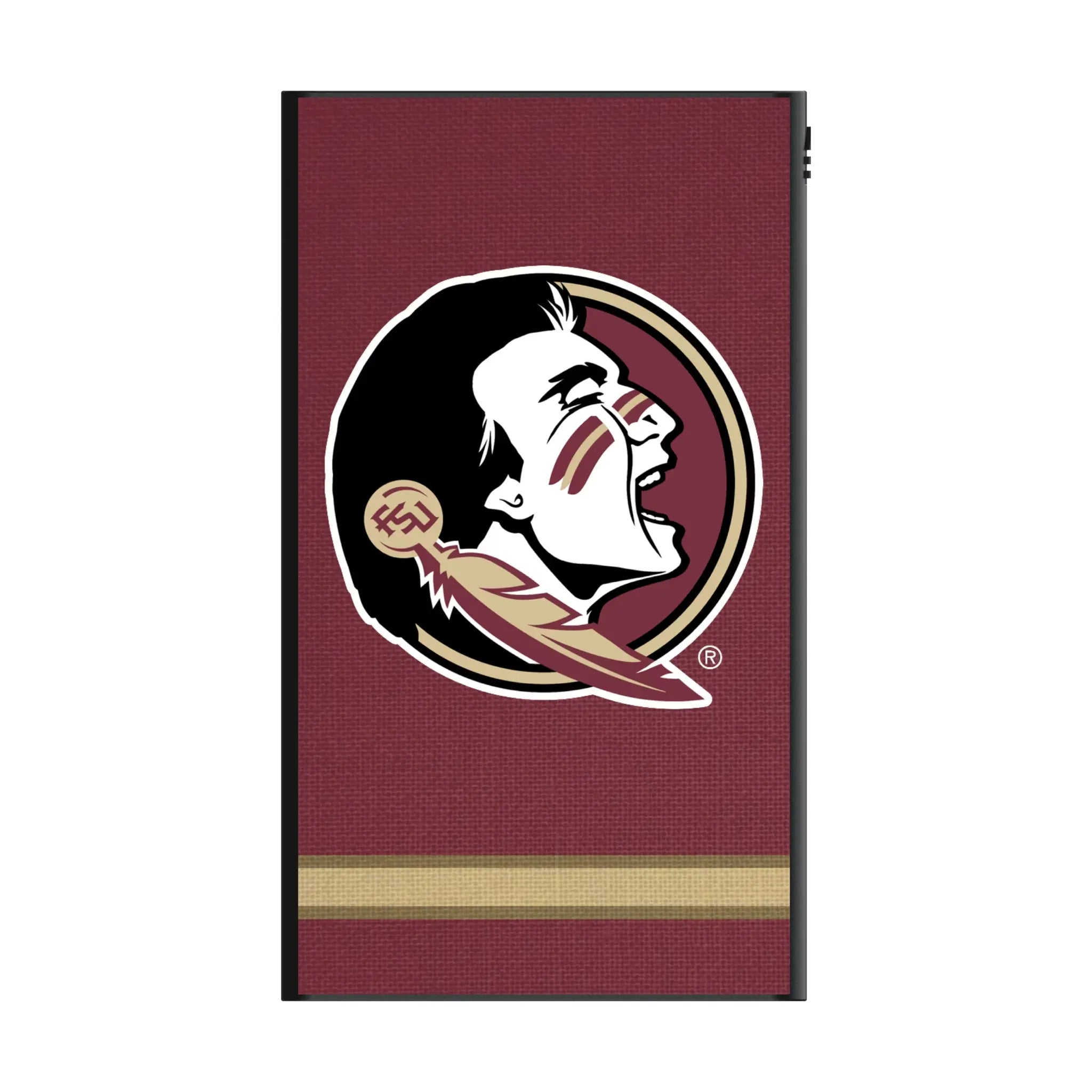 Florida State University Seminoles Stripe 5000mAh Flat Power Bank