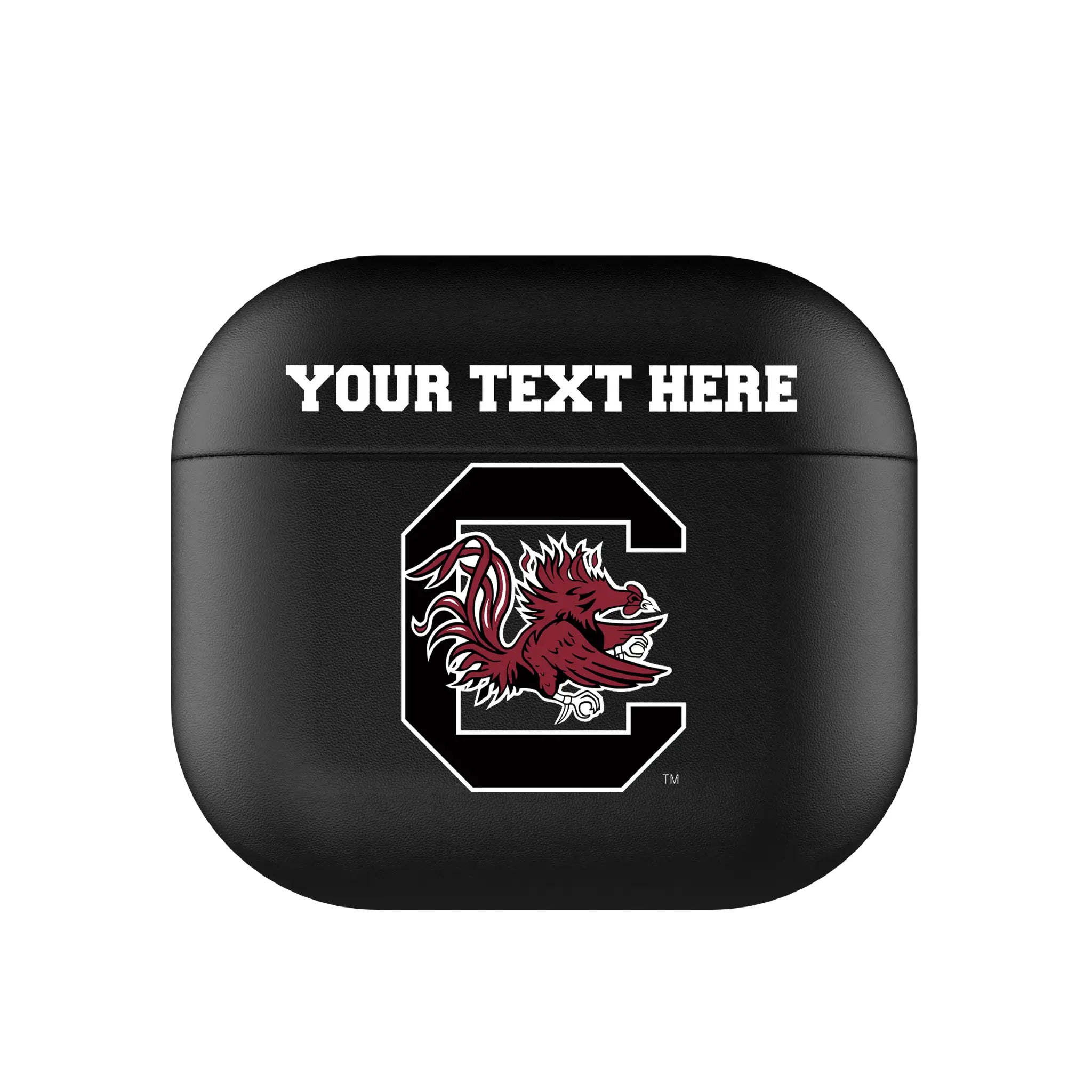 University of South Carolina Gamecocks Personalized Insignia AirPods AirPod Case Cover#Device_AirPods 3rd Gen
