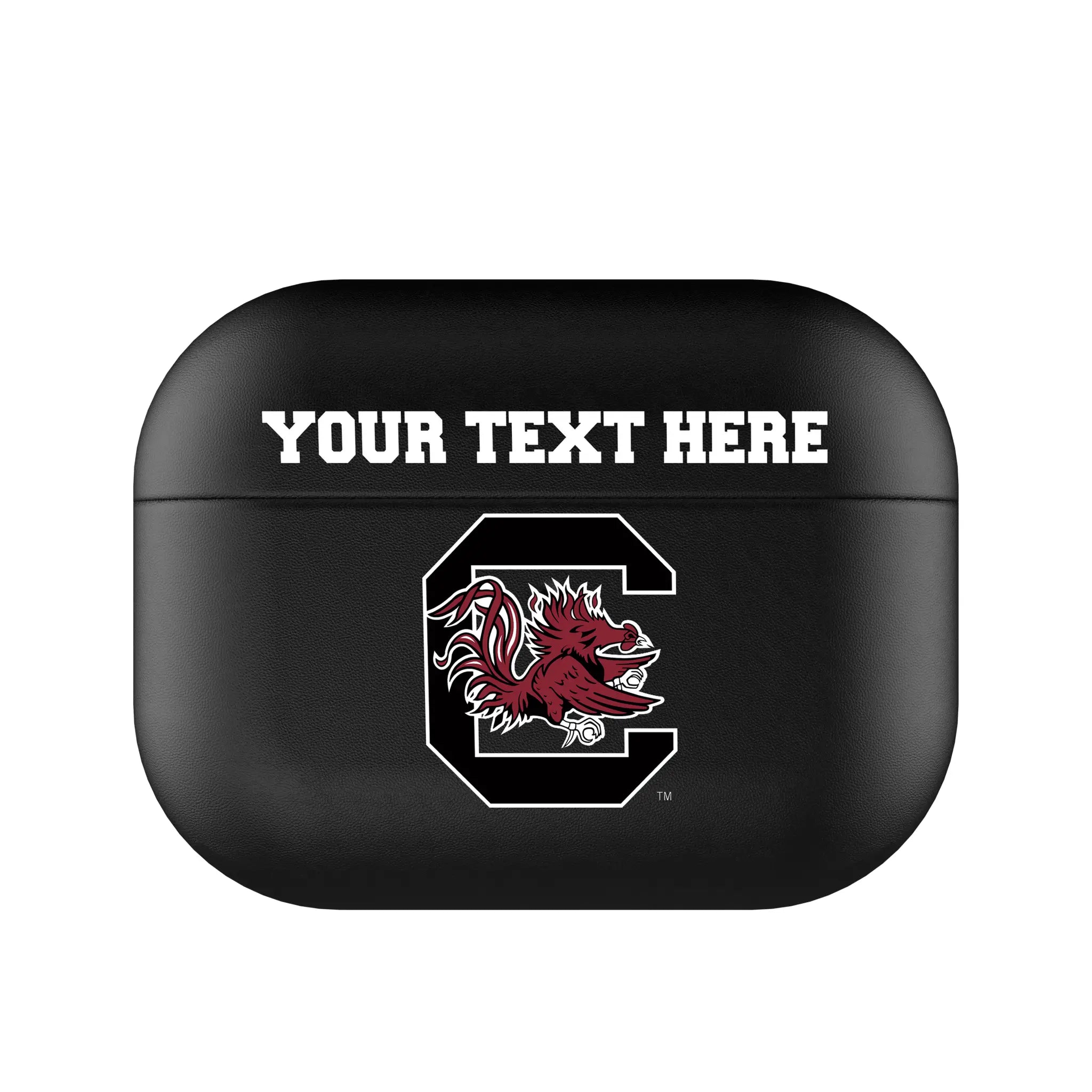 University of South Carolina Gamecocks Personalized Insignia AirPods AirPod Case Cover#Device_AirPods Pro 1st Gen