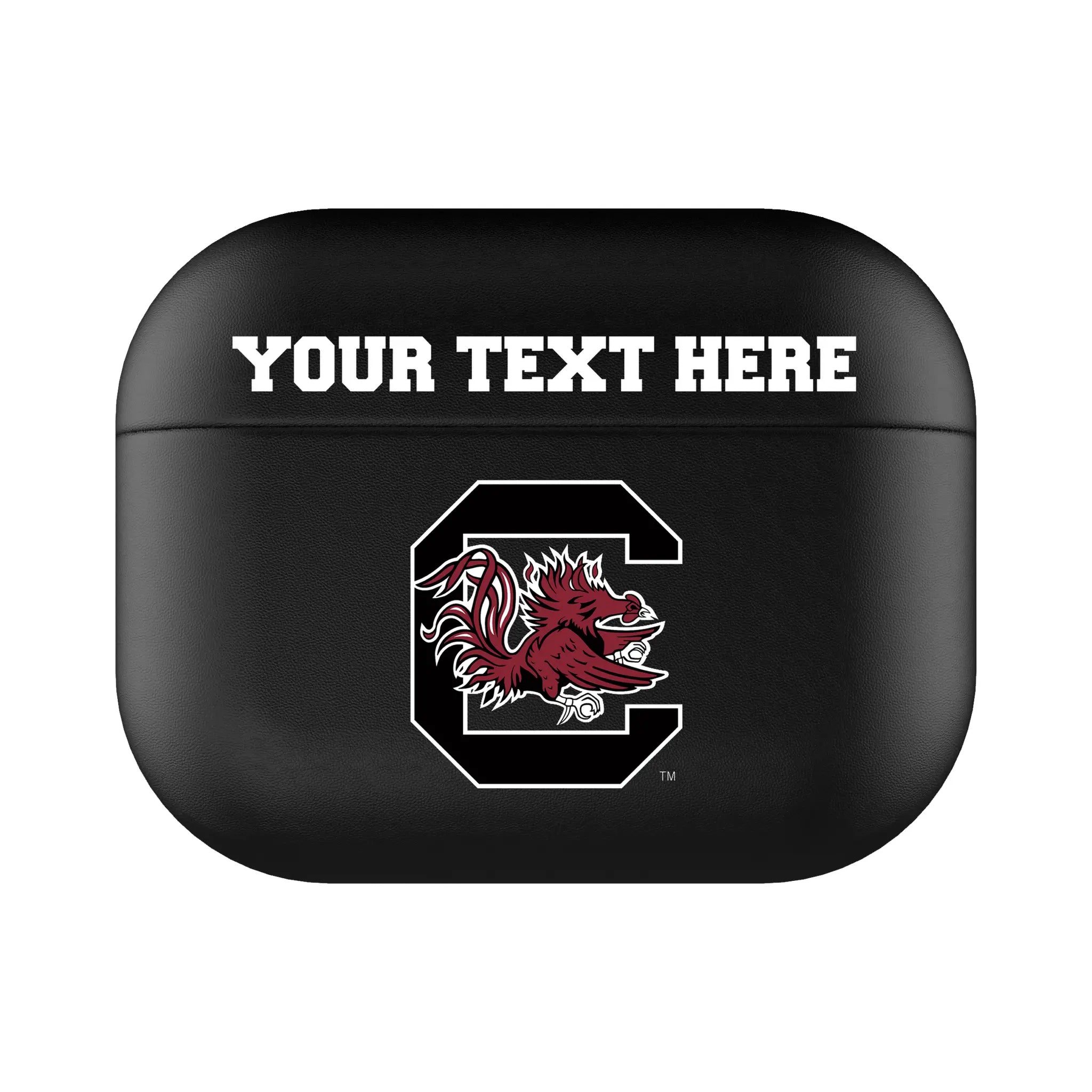 University of South Carolina Gamecocks Personalized Insignia AirPods AirPod Case Cover#Device_AirPods Pro 3