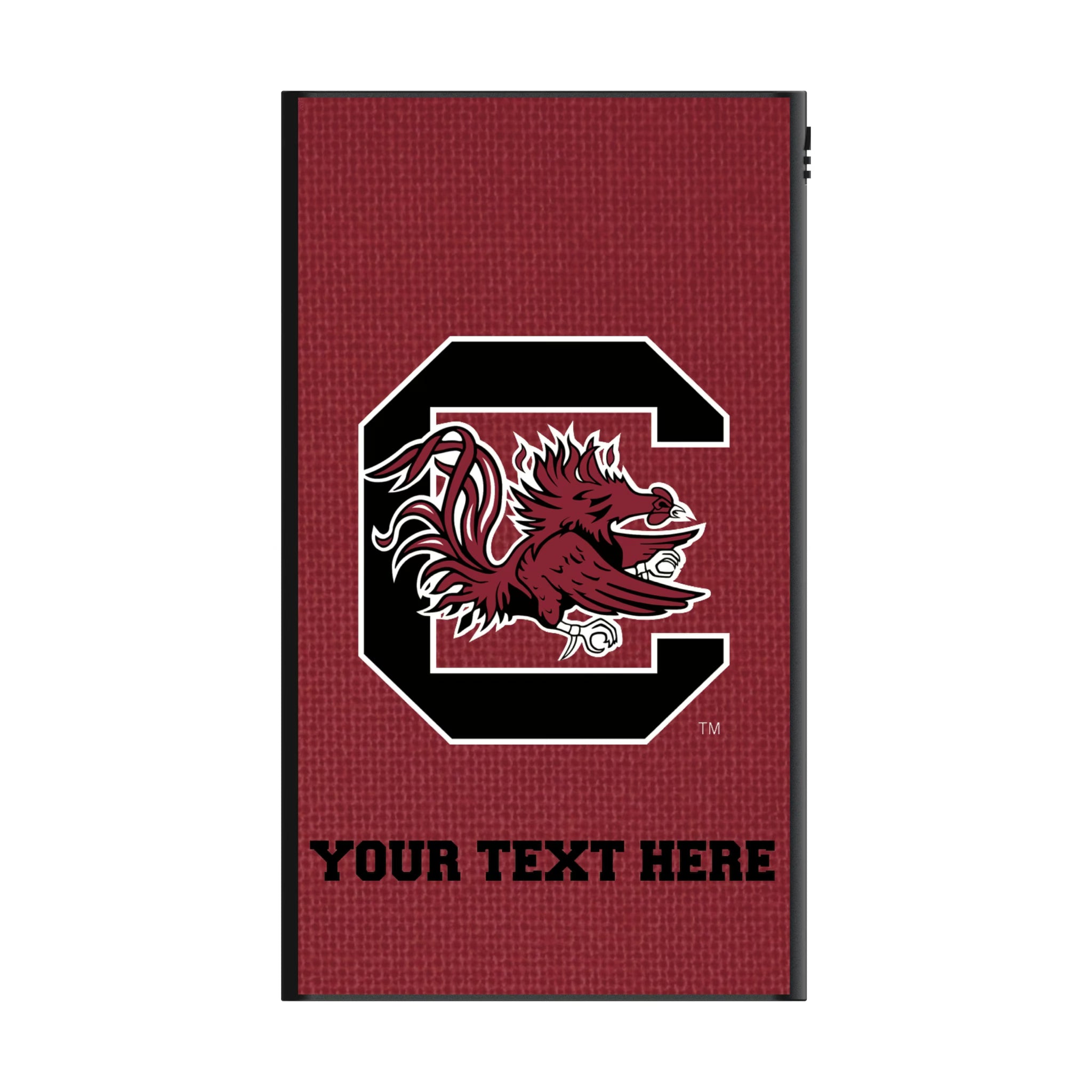 University of South Carolina Gamecocks Personalized Solid 5000mAh Flat Powerbank