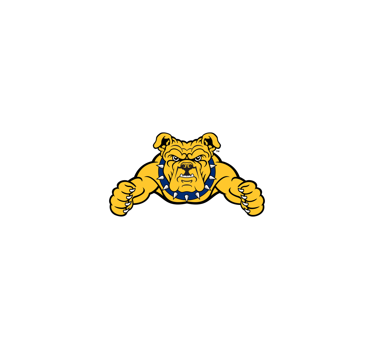 North Carolina A&T State University
