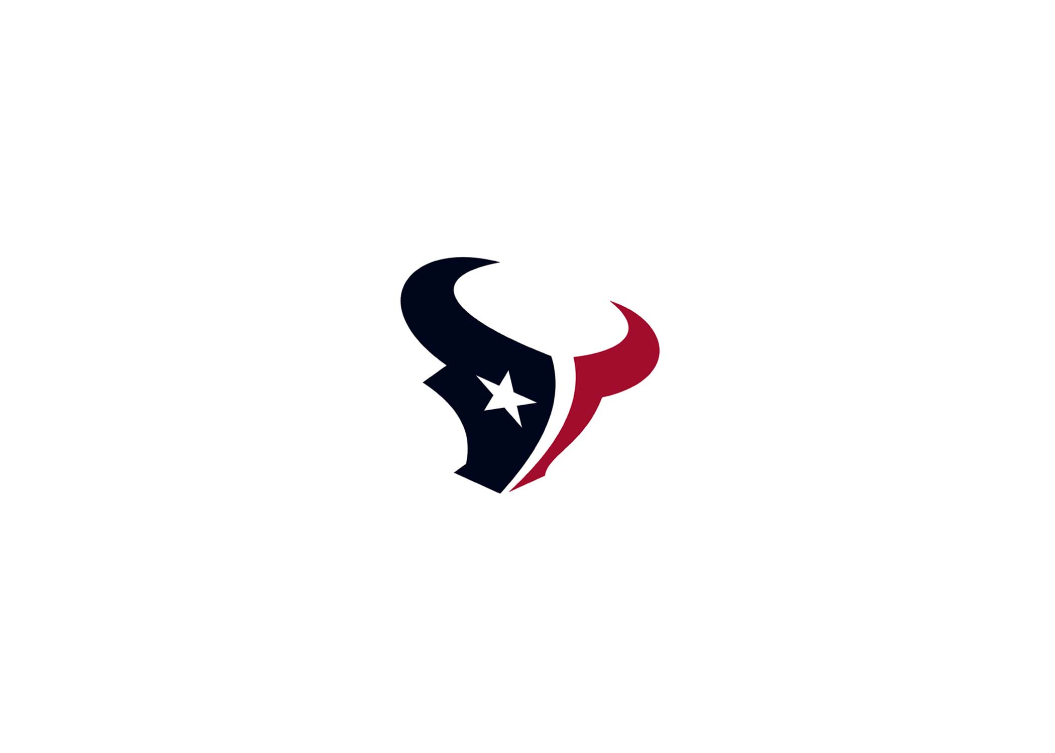 Houston Texans Logo
