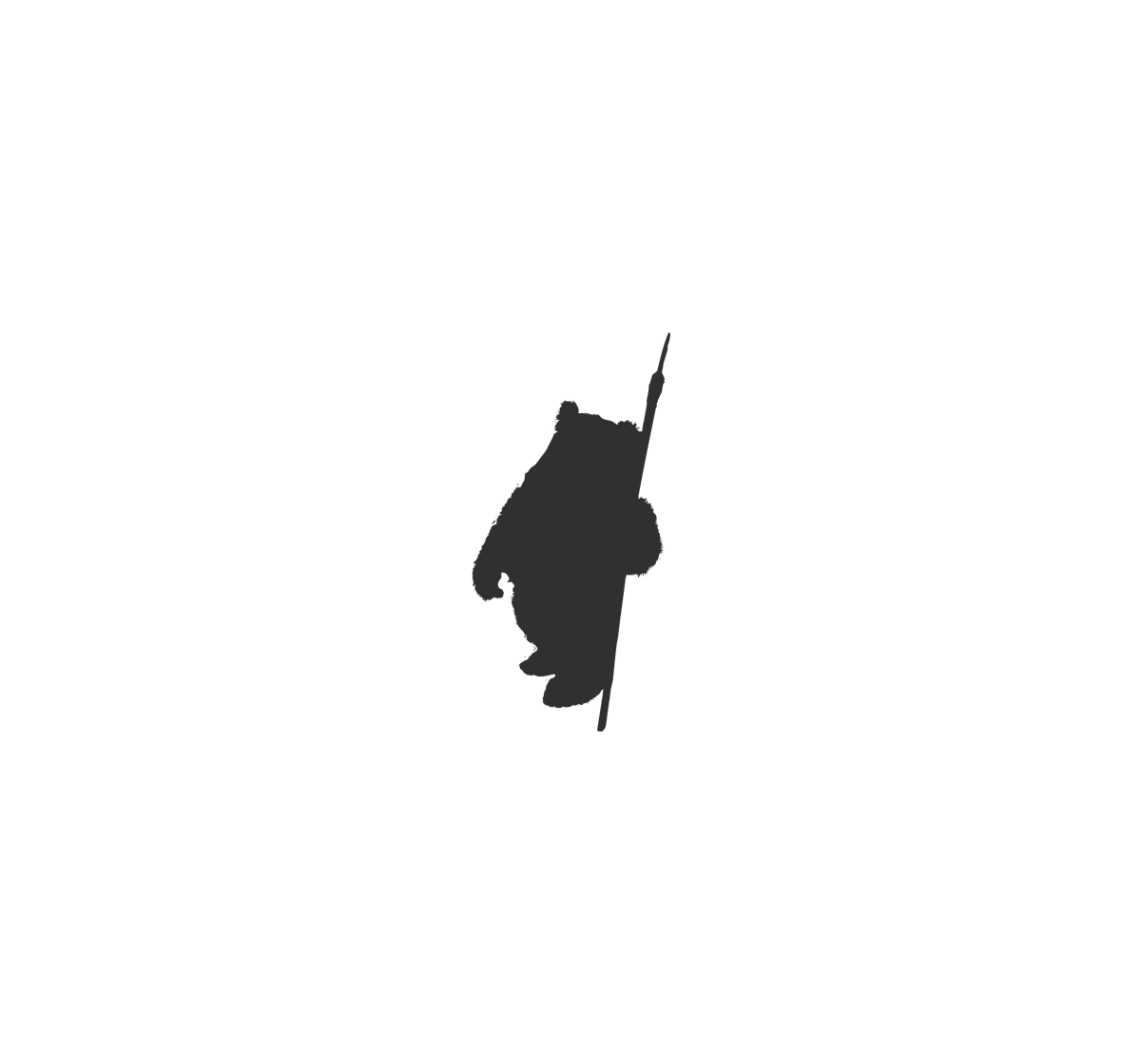 Ewok