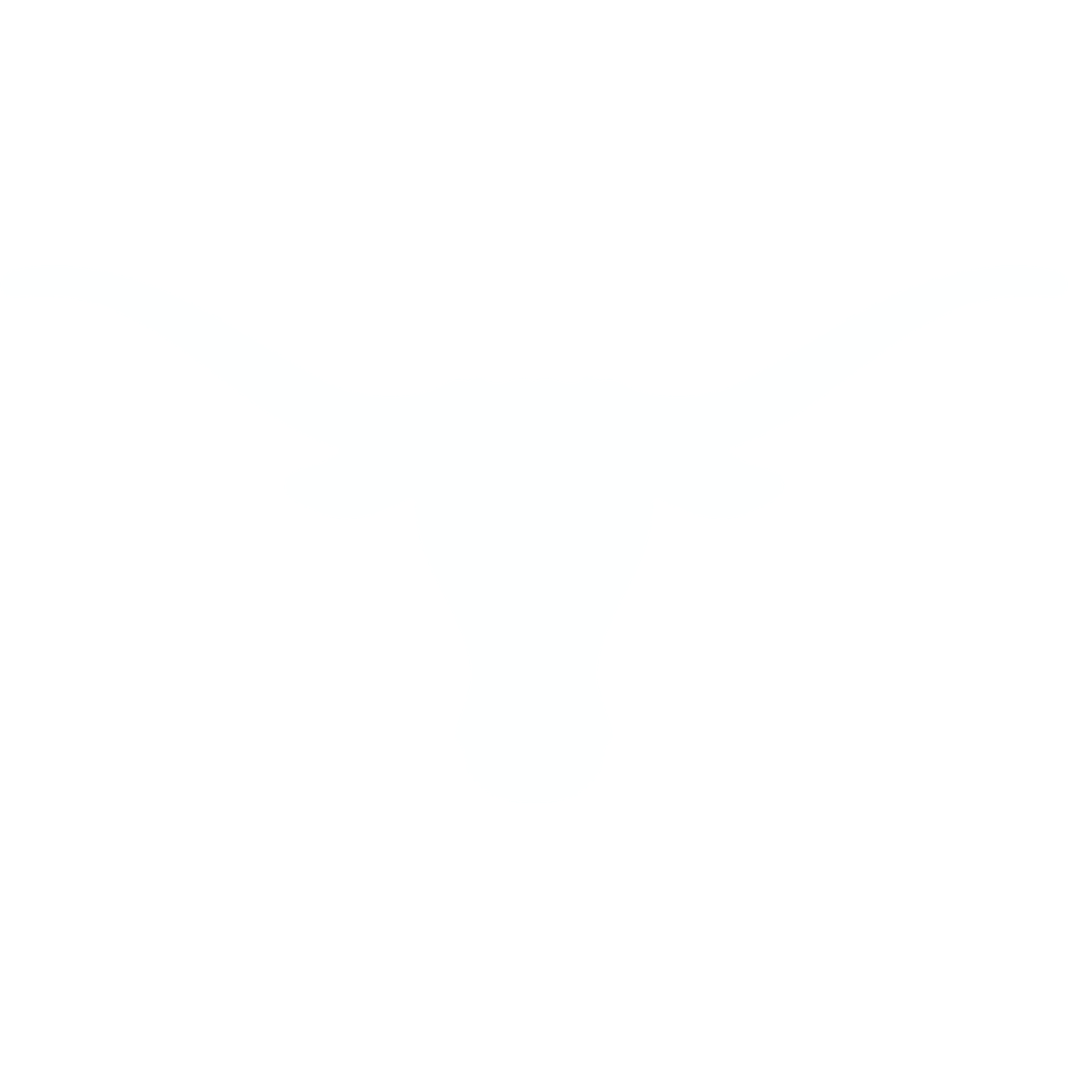 University of Texas Longhorns logo