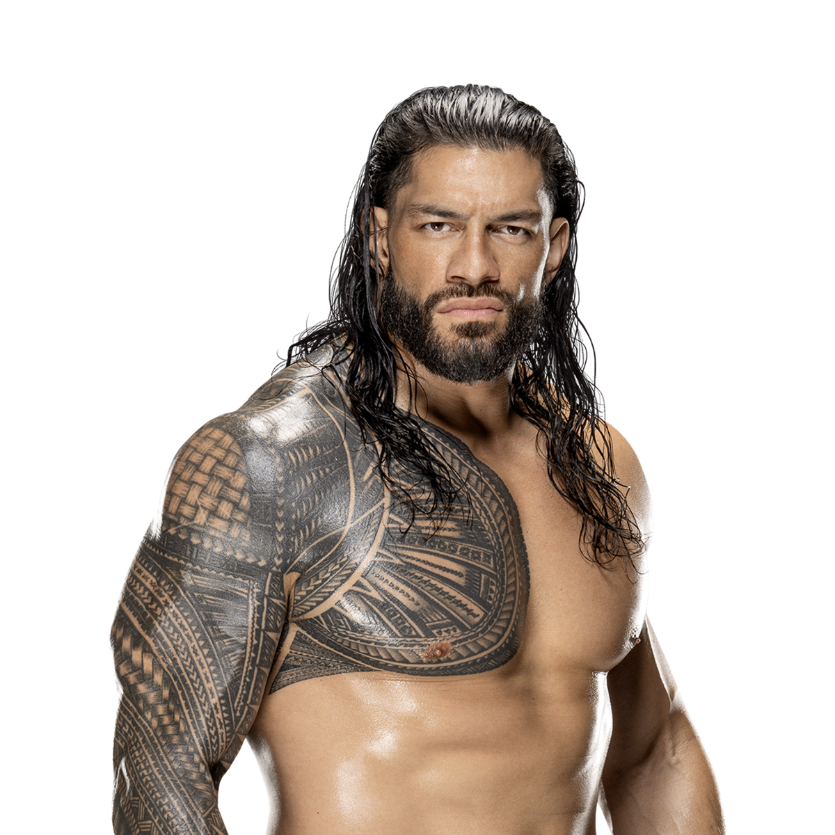 Roman Reigns logo