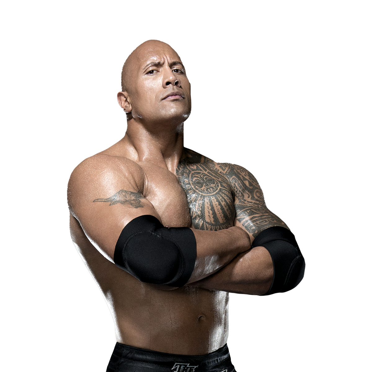 The Rock logo