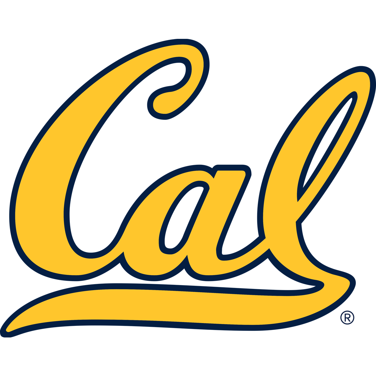 University of California Berkeley Golden Bears logo