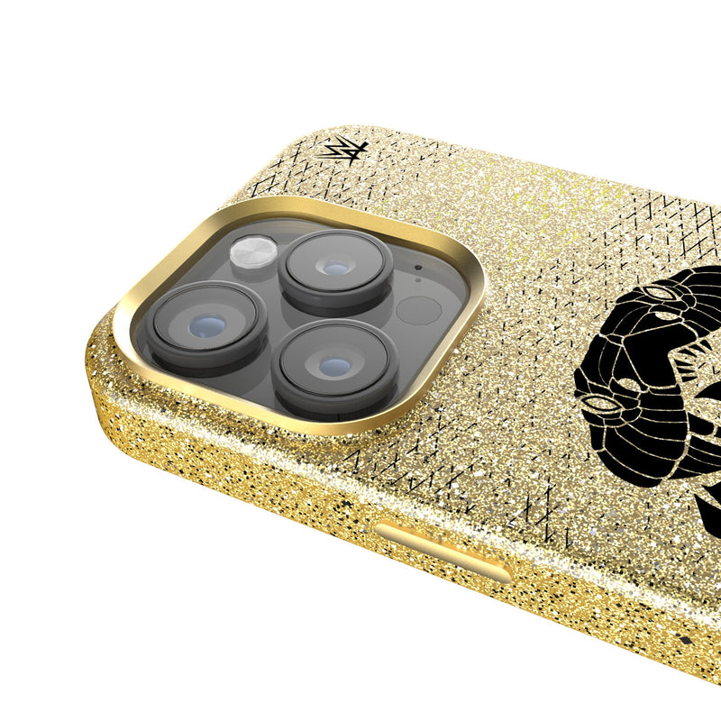 Randy Orton Steel iPhone Bling Phone Case for Apple iPhone Detail.Jpg