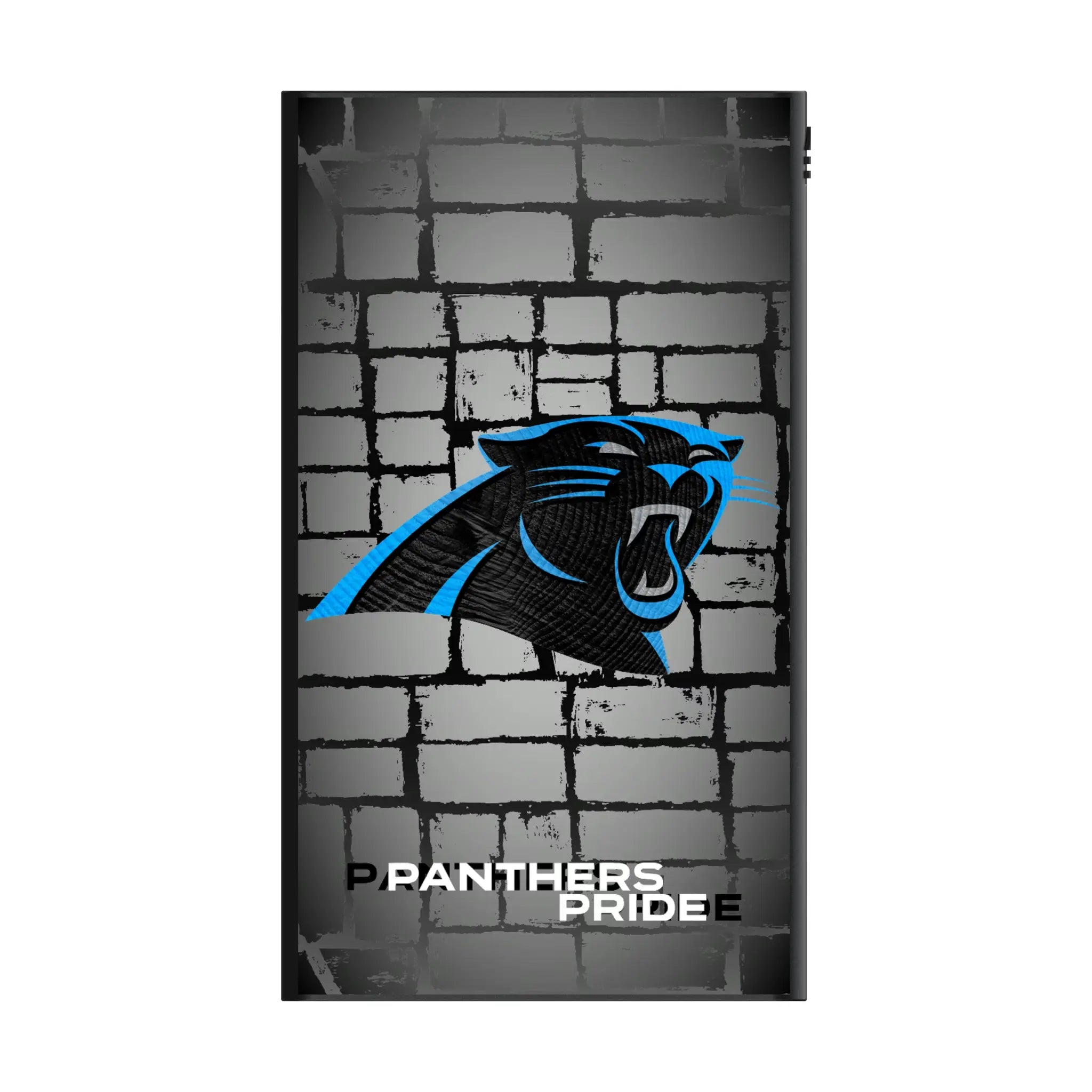 Carolina Panthers Brick 5000mAh Flat Power Bank