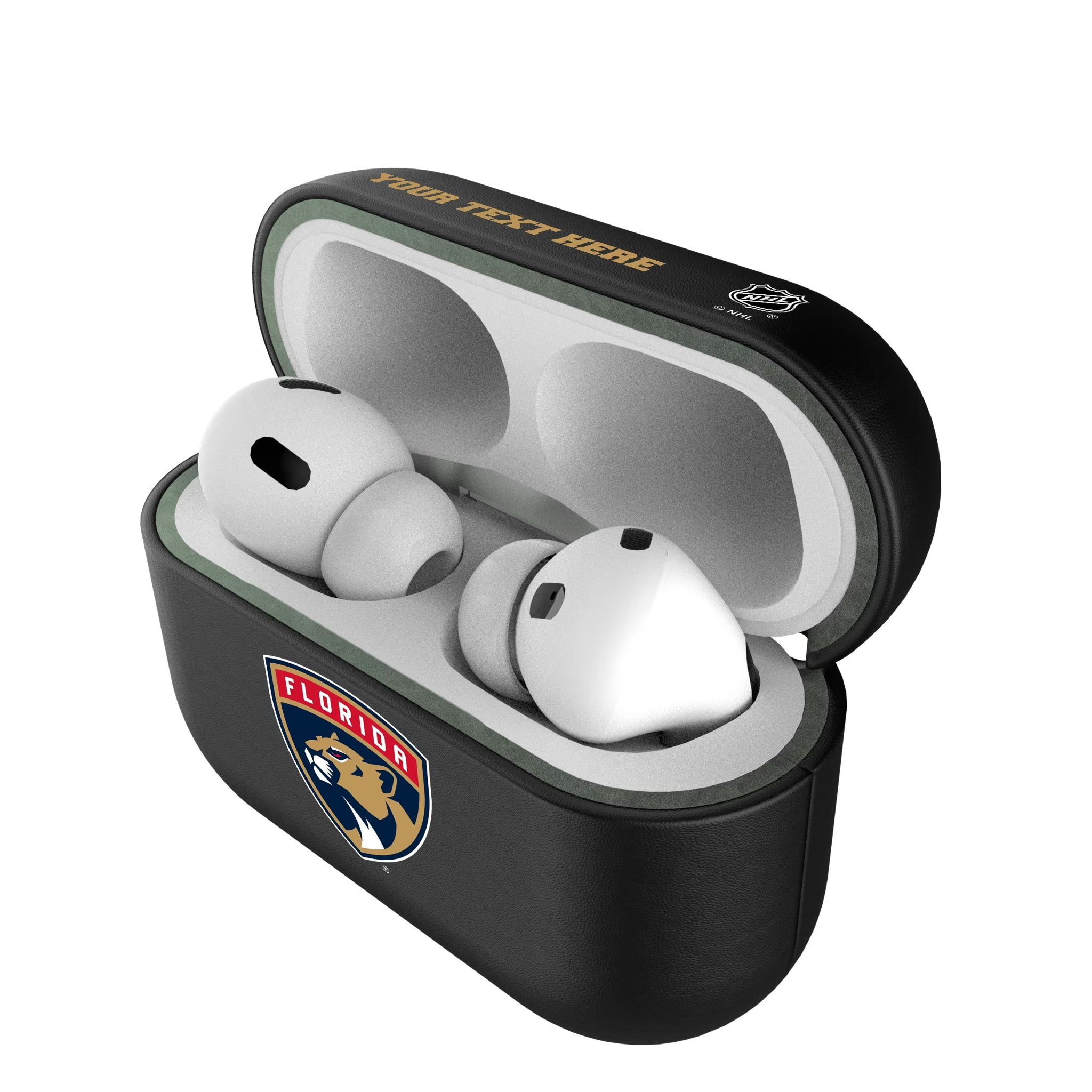 Florida Panthers Personalized Insignia AirPods AirPod Case Cover#Device_AirPods Pro 1st Gen