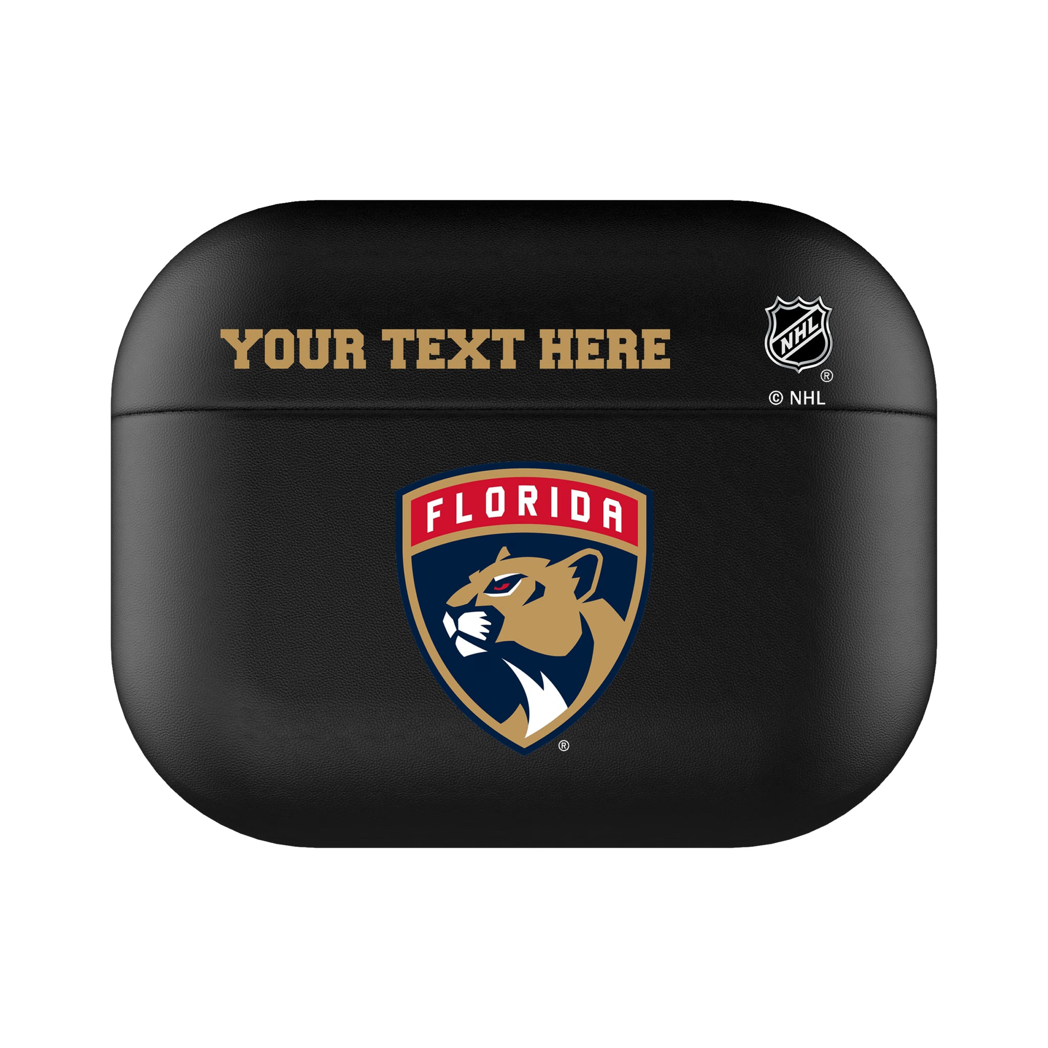Florida Panthers Personalized Insignia AirPods AirPod Case Cover#Device_AirPods Pro 3