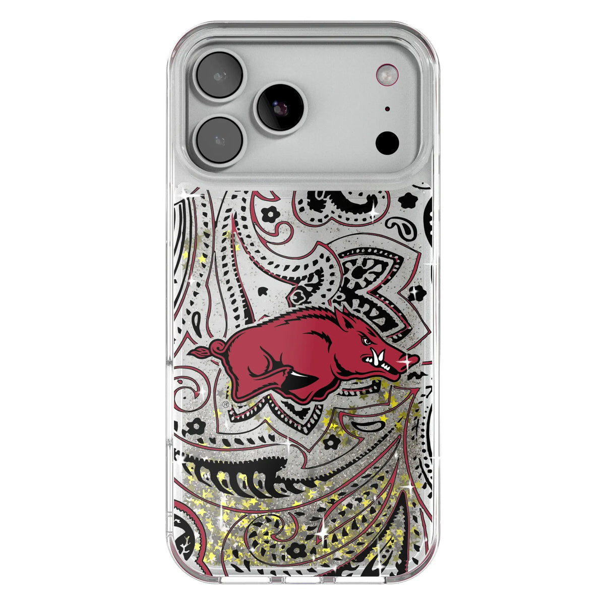 University of Arkansas Fayetteville Razorbacks Paisley Glitter Phone Case for Apple iPhone