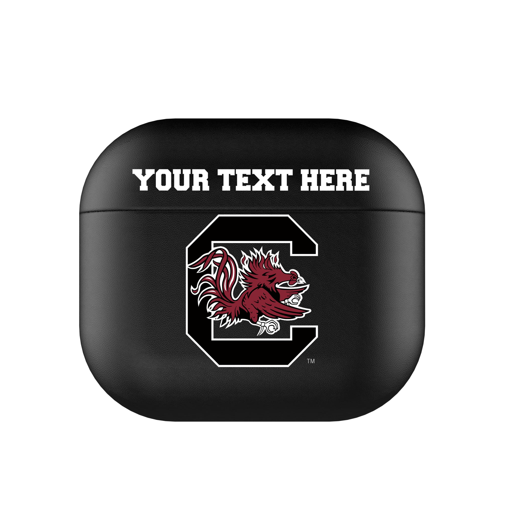 University of South Carolina Gamecocks Personalized Insignia AirPods AirPod Case Cover#Device_AirPods 3rd Gen