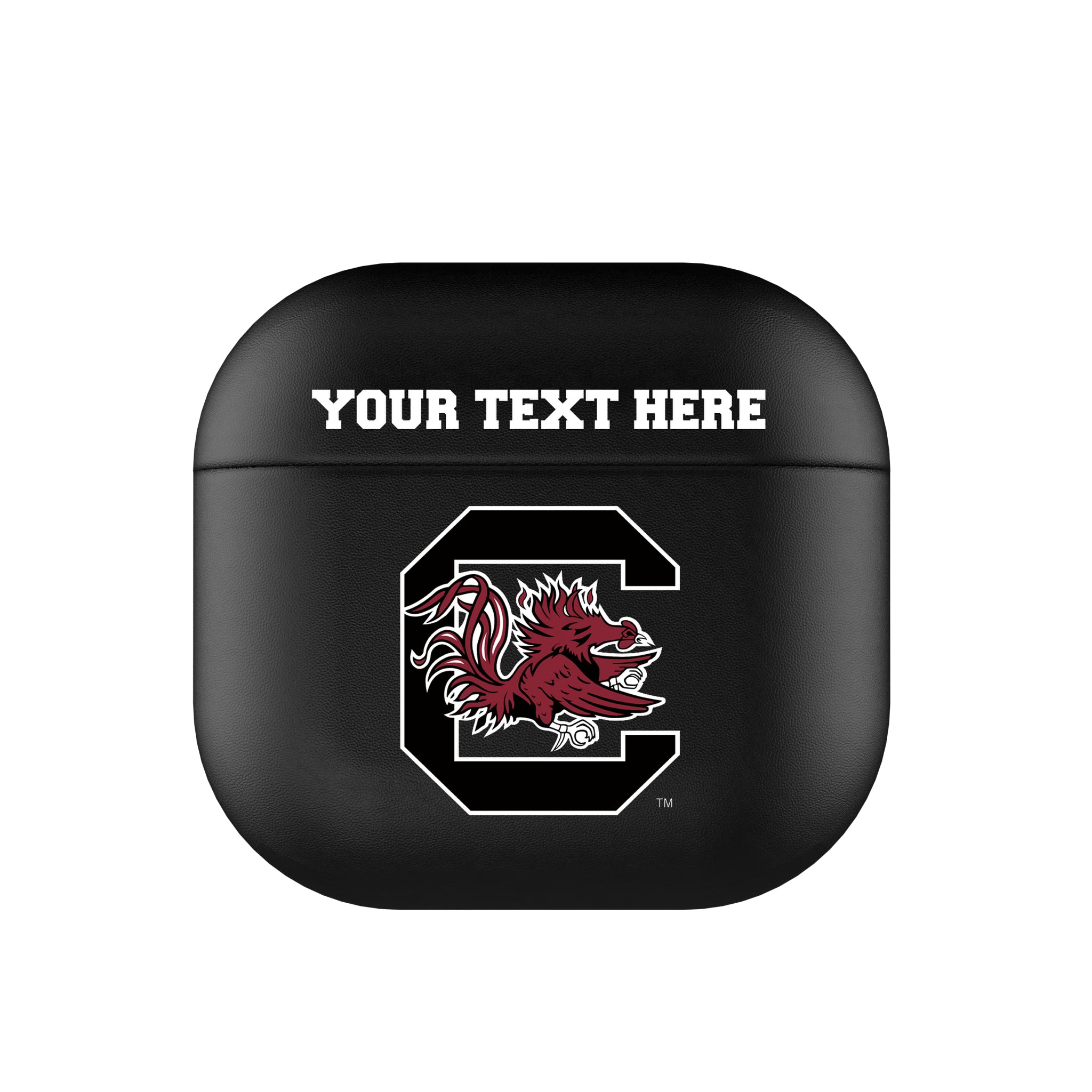 University of South Carolina Gamecocks Personalized Insignia AirPods AirPod Case Cover#Device_AirPods 4