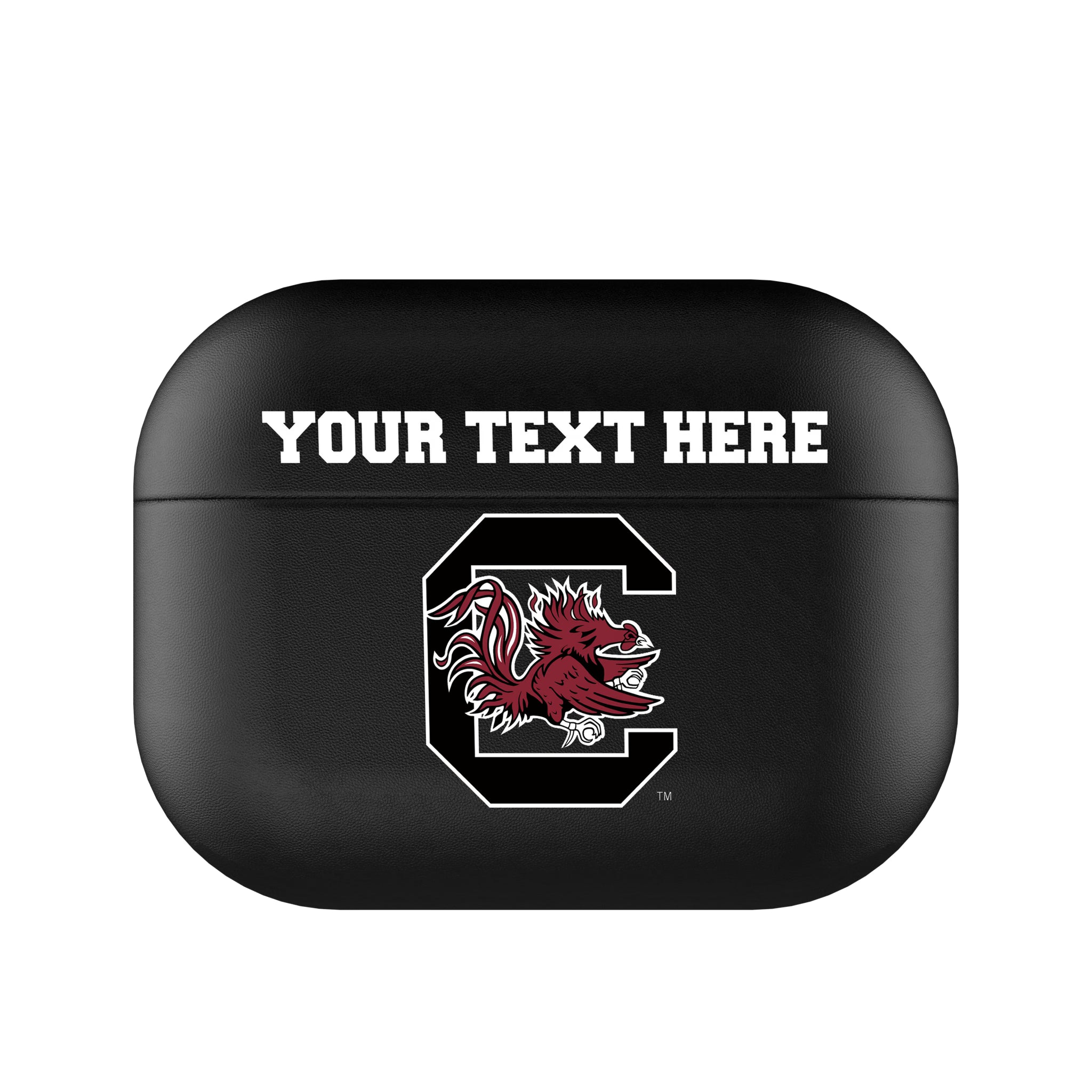 University of South Carolina Gamecocks Personalized Insignia AirPods AirPod Case Cover#Device_AirPods Pro 1st Gen