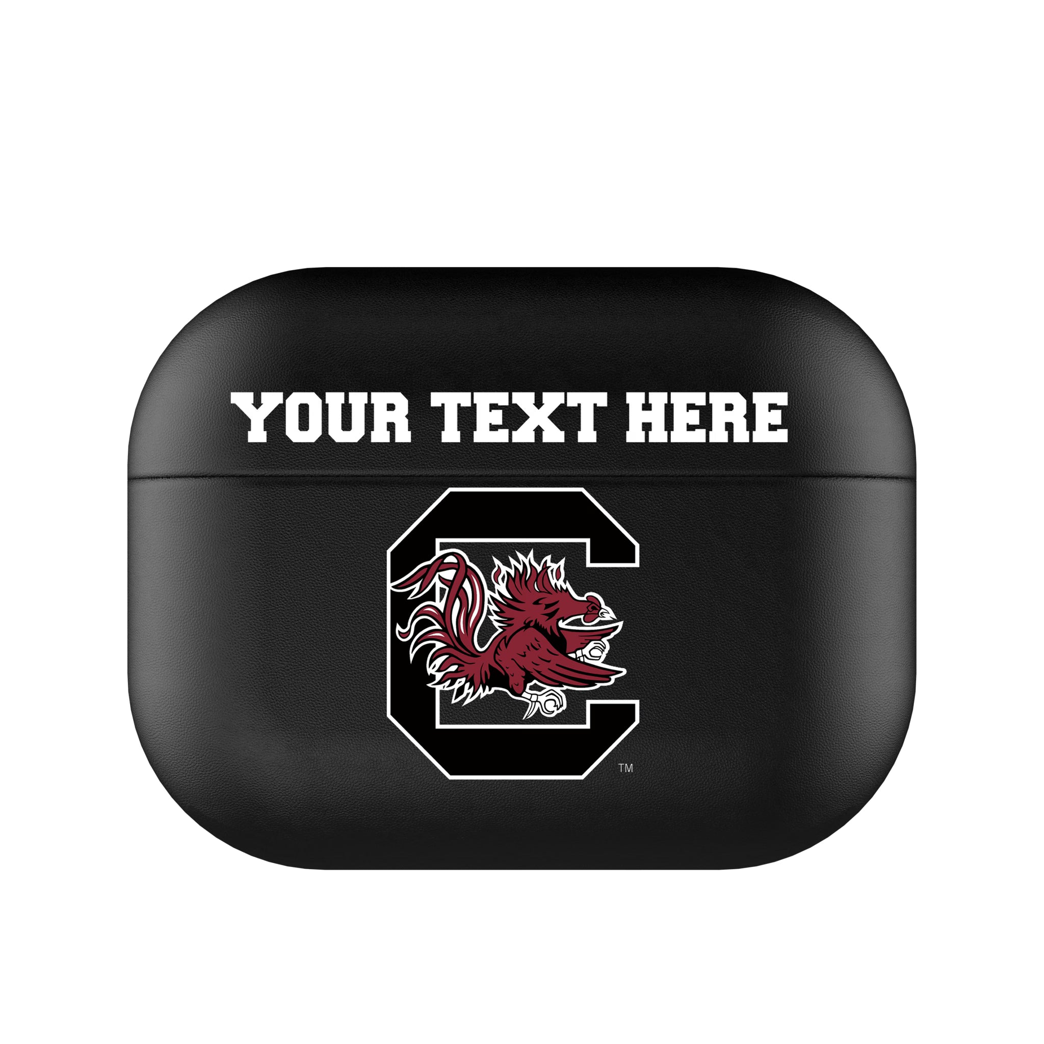 University of South Carolina Gamecocks Personalized Insignia AirPods AirPod Case Cover#Device_AirPods Pro 2nd Gen