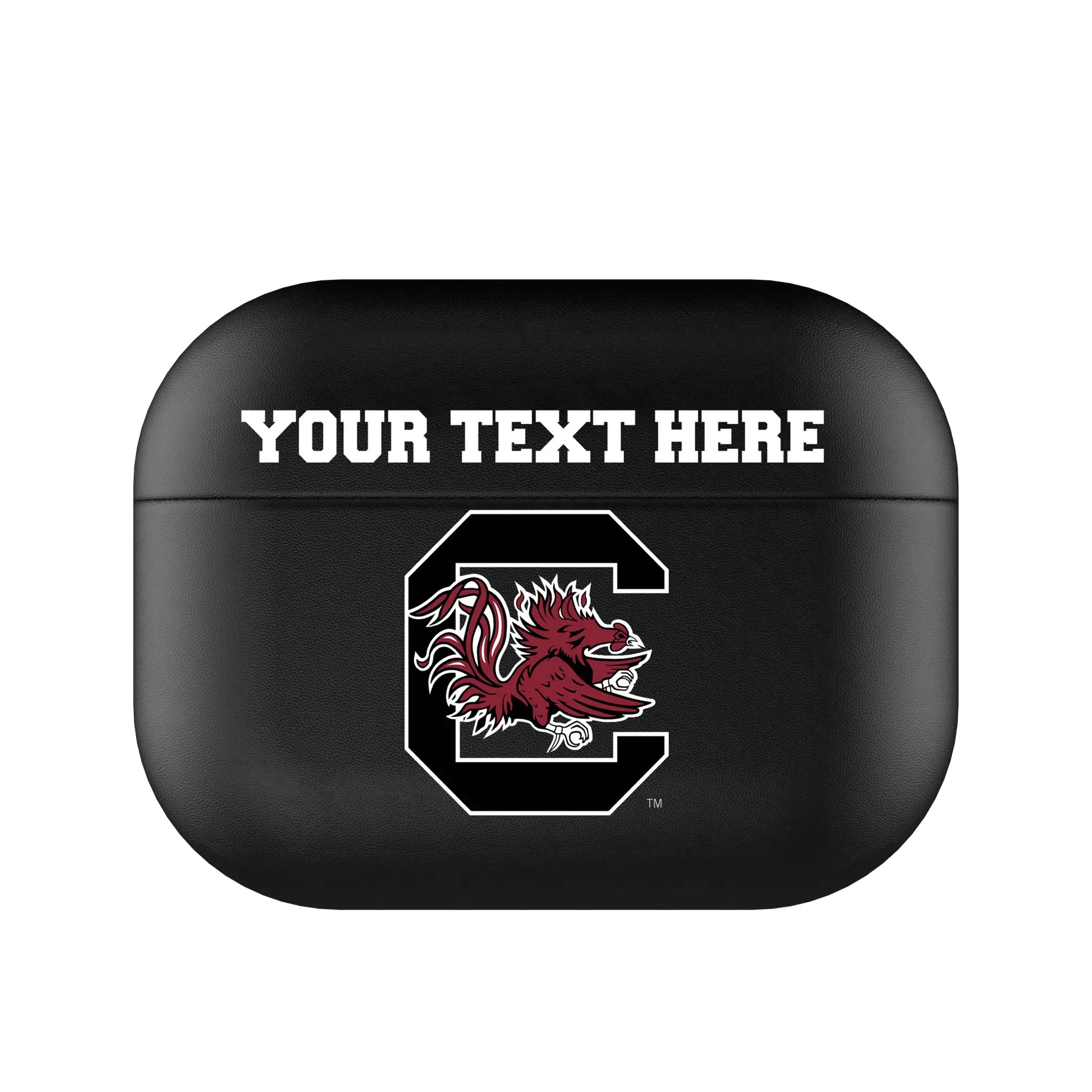 University of South Carolina Gamecocks Personalized Insignia AirPods AirPod Case Cover#Device_AirPods Pro 2nd Gen