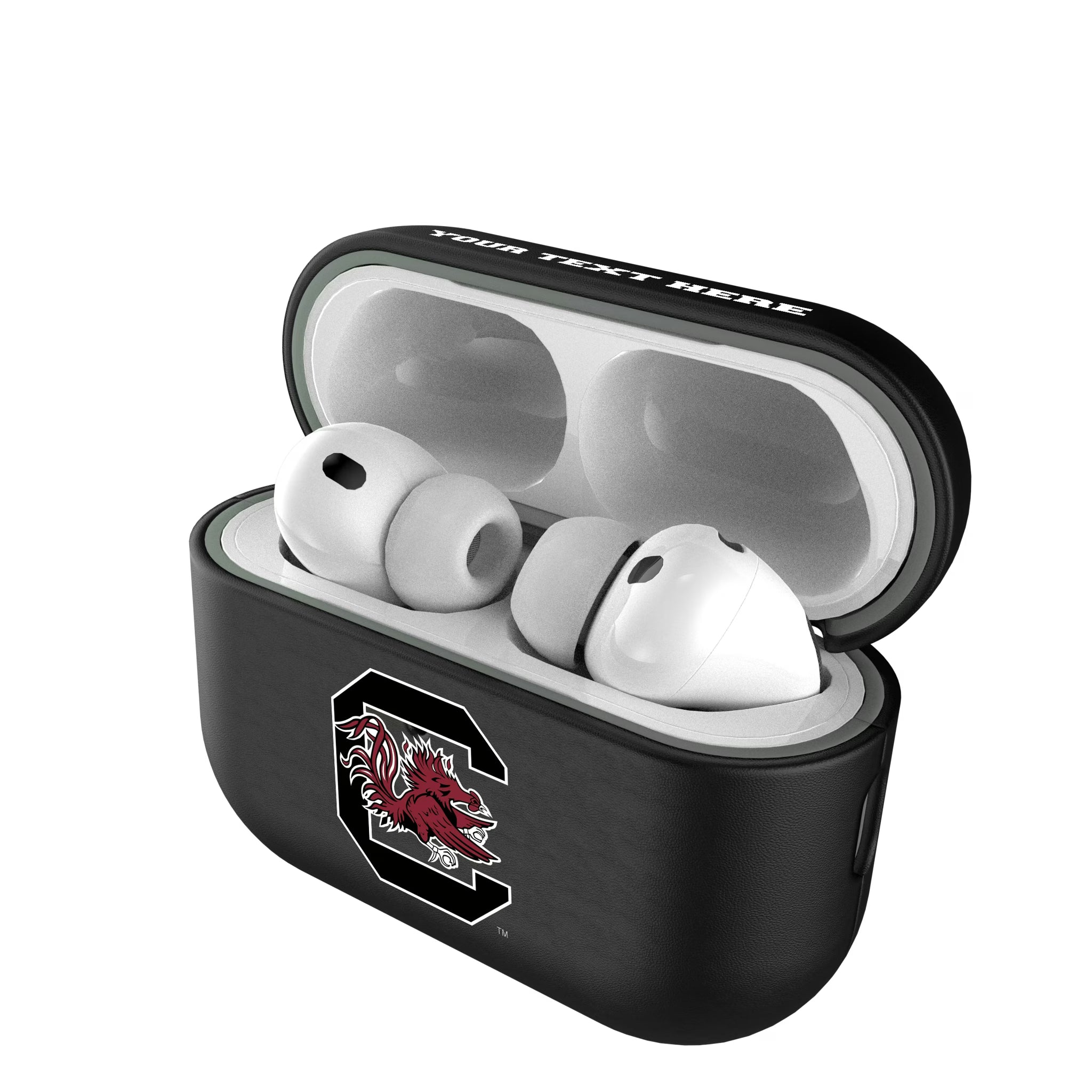 University of South Carolina Gamecocks Personalized Insignia AirPods AirPod Case Cover#Device_AirPods Pro 3