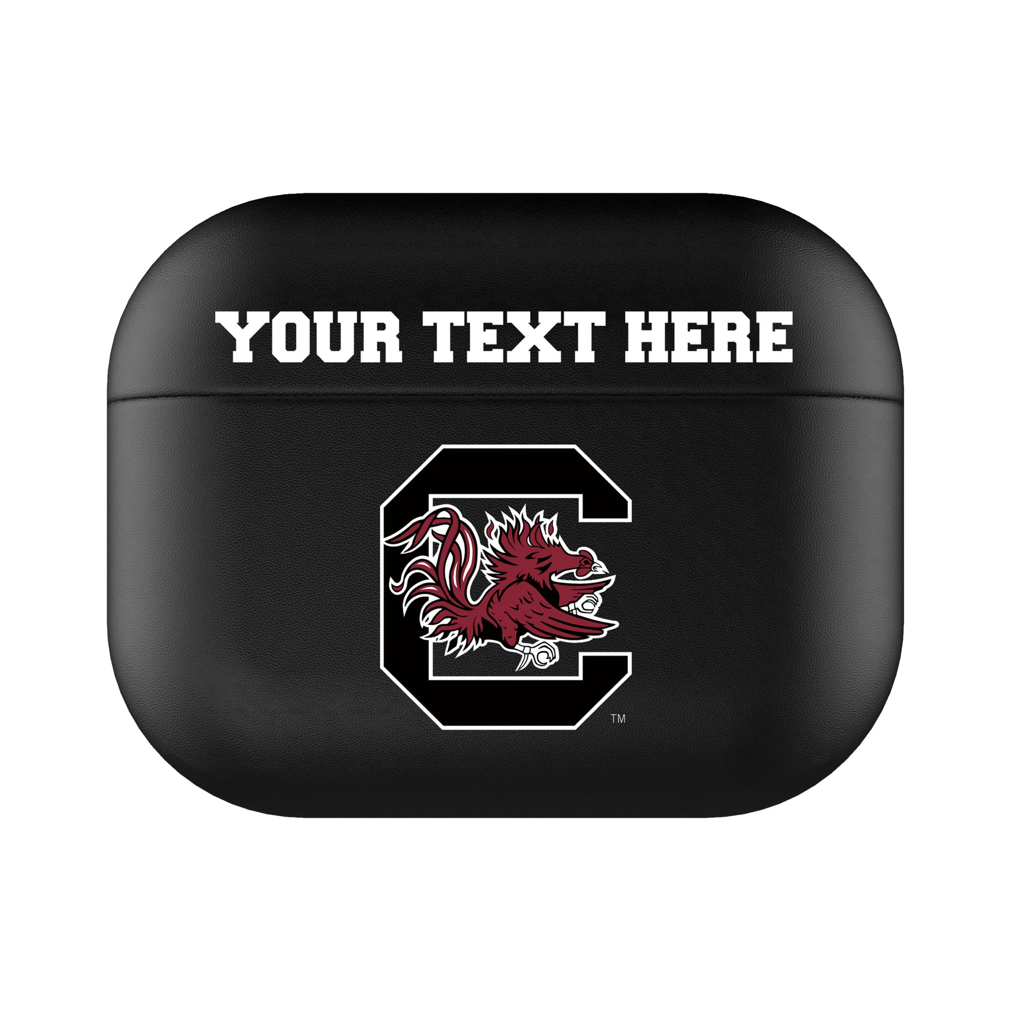 University of South Carolina Gamecocks Personalized Insignia AirPods AirPod Case Cover#Device_AirPods Pro 3