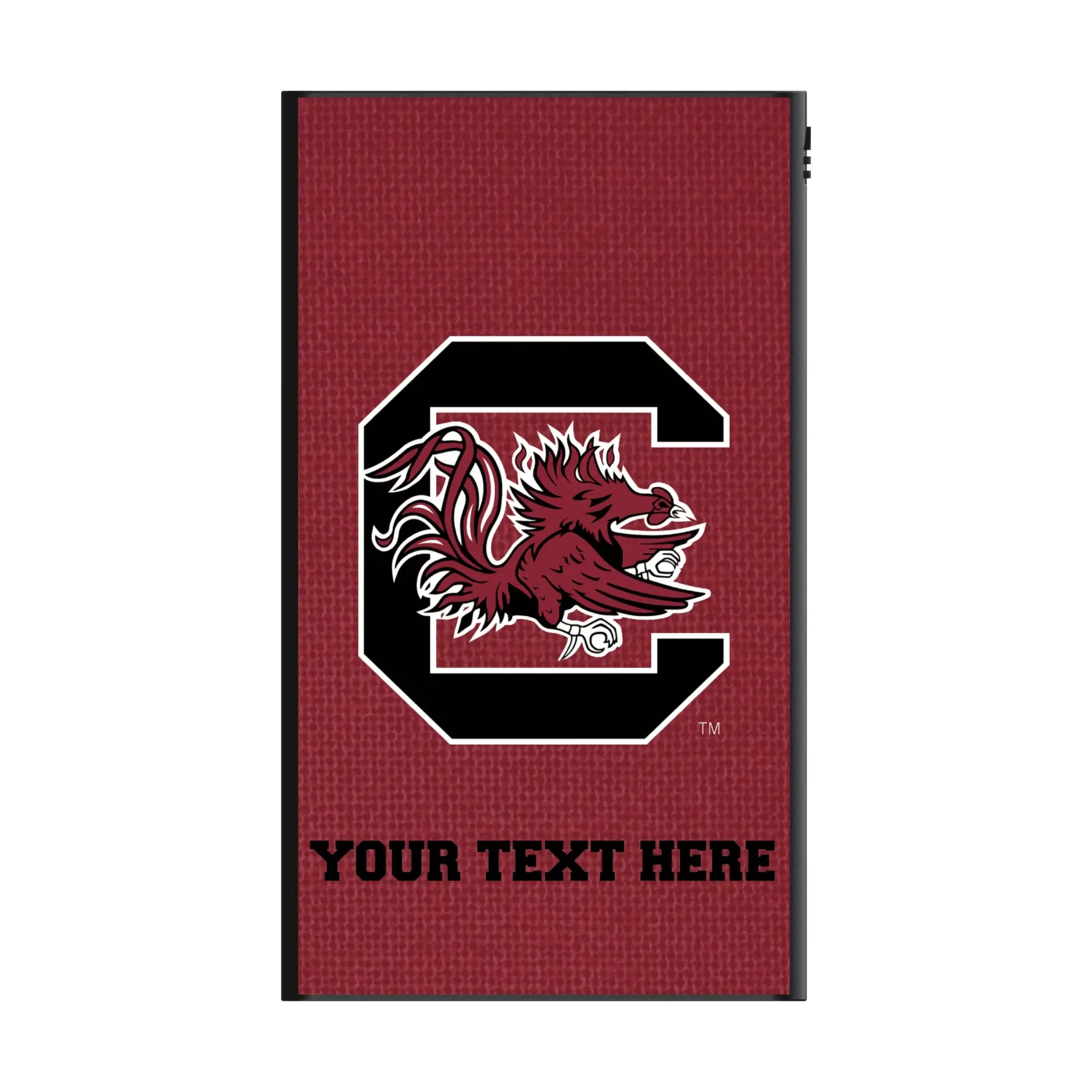 University of South Carolina Gamecocks Personalized Solid 5000mAh Flat Power Bank