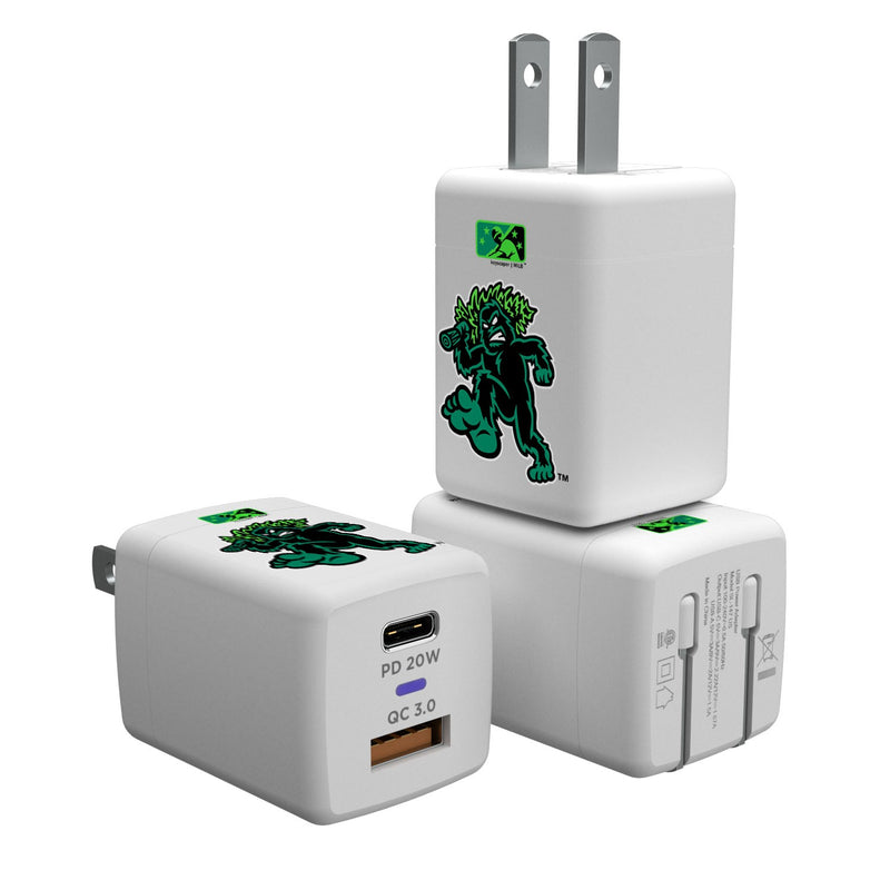 Eugene Emeralds Insignia USB-C Charger