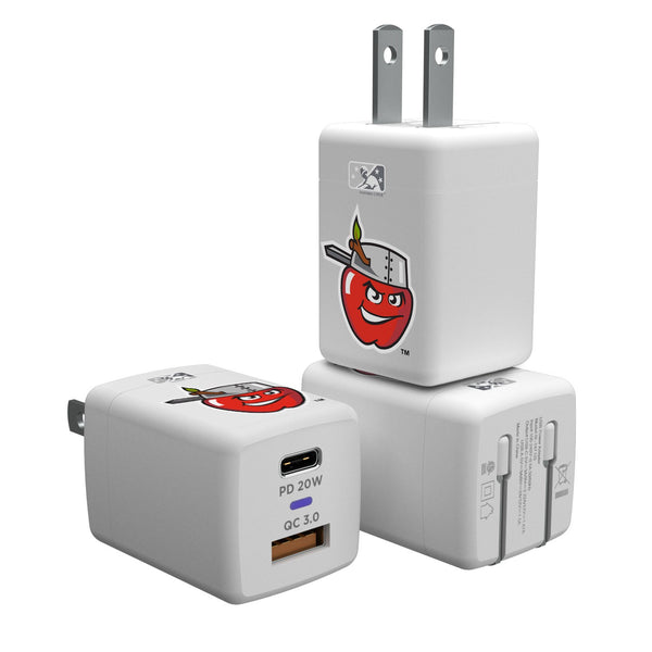 Fort Wayne TinCaps Insignia USB-C Charger