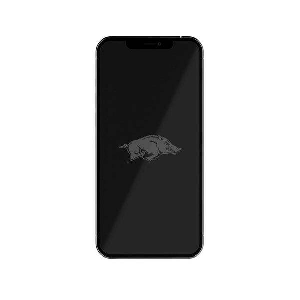 Arkansas Razorbacks Etched iPhone 12 Pro / 12 / 11 / XR Screen Protector